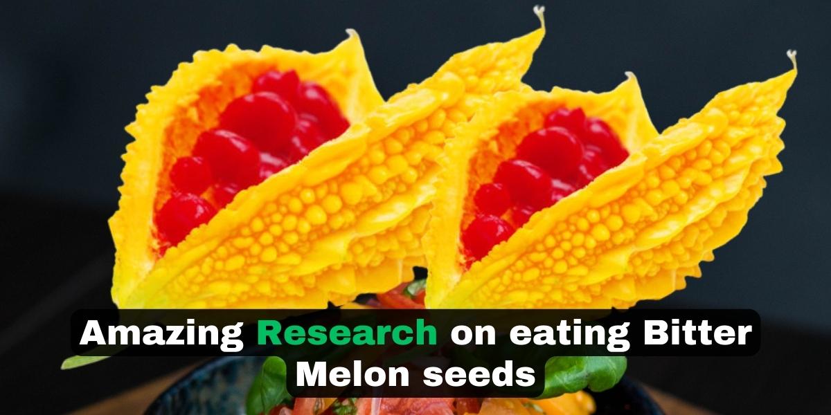 can you eat bitter melon seeds