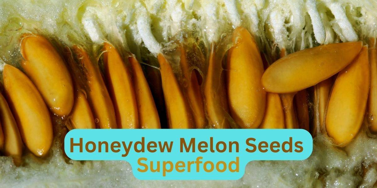 Honeydew Melon Seeds Superfood