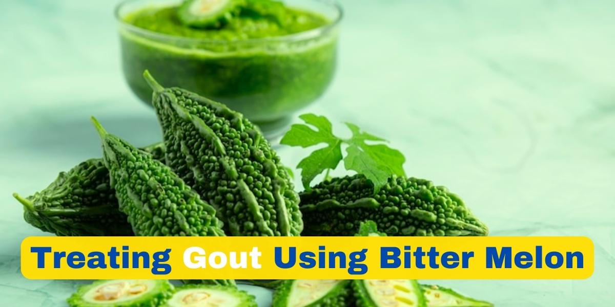 Gout remedies using bitter melon