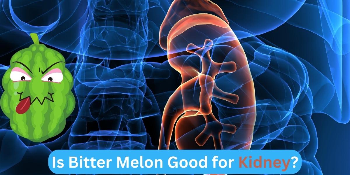 Is Bitter Melon Good for Kidney?