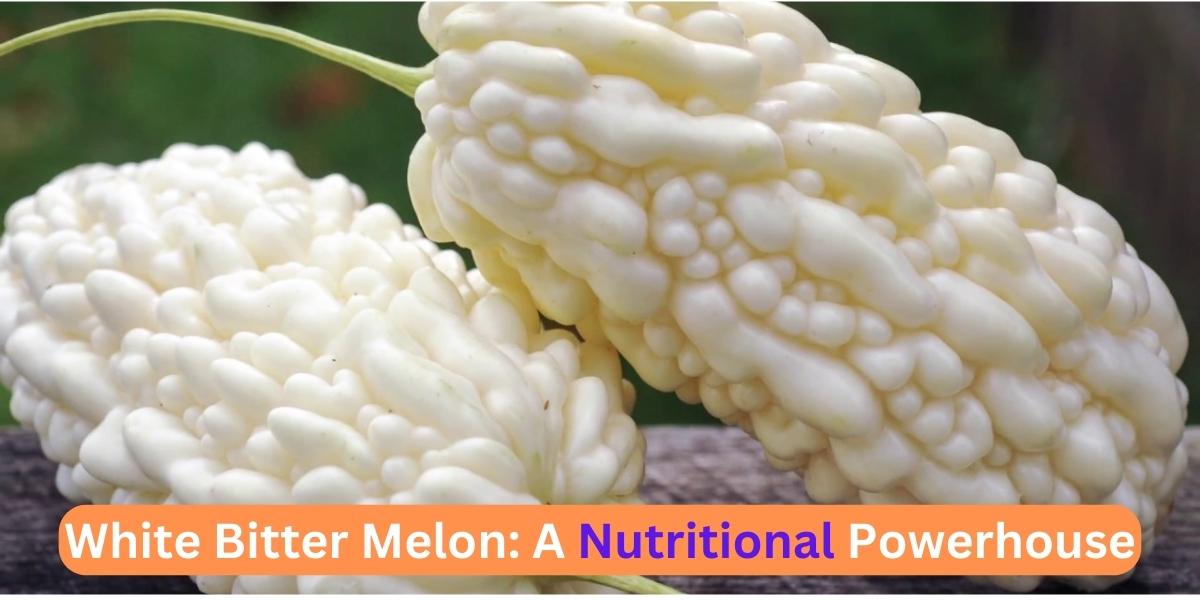 White Bitter Melon: A Nutritional Powerhouse